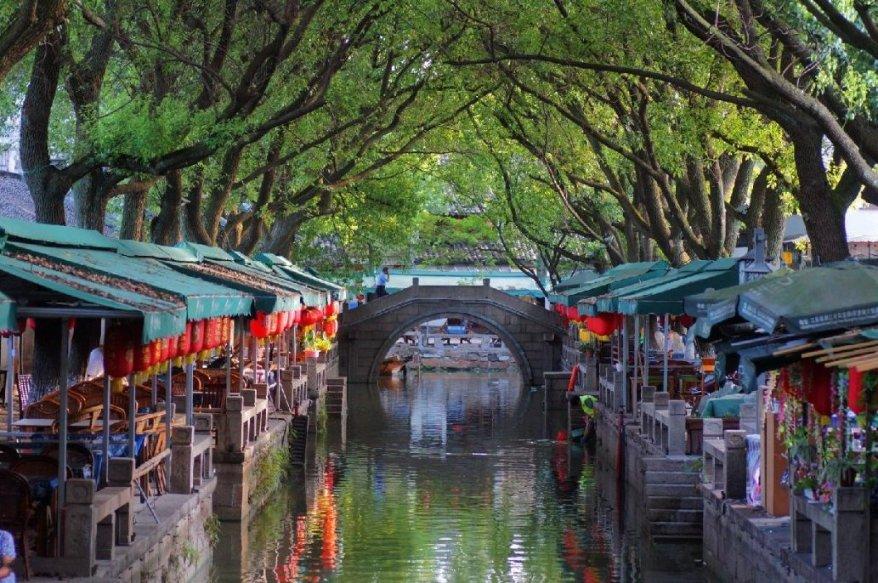 网游之大神莫挡路